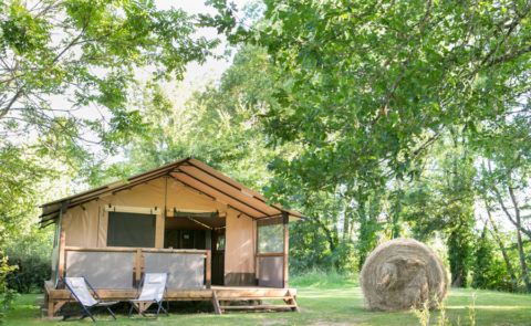 Canvas cottages shop