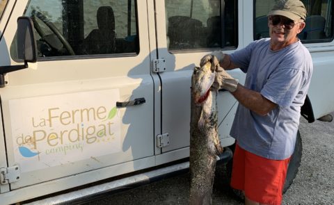 Pratiquez la pêche